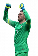 Stipe Pletikosa football render