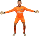 Freddie Woodman football render