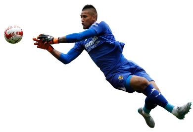 Alphonse Areola