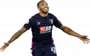 Callum Wilson football render