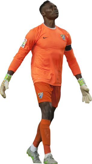 Carlos Kameni