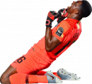 Daniel Akpeyi football render