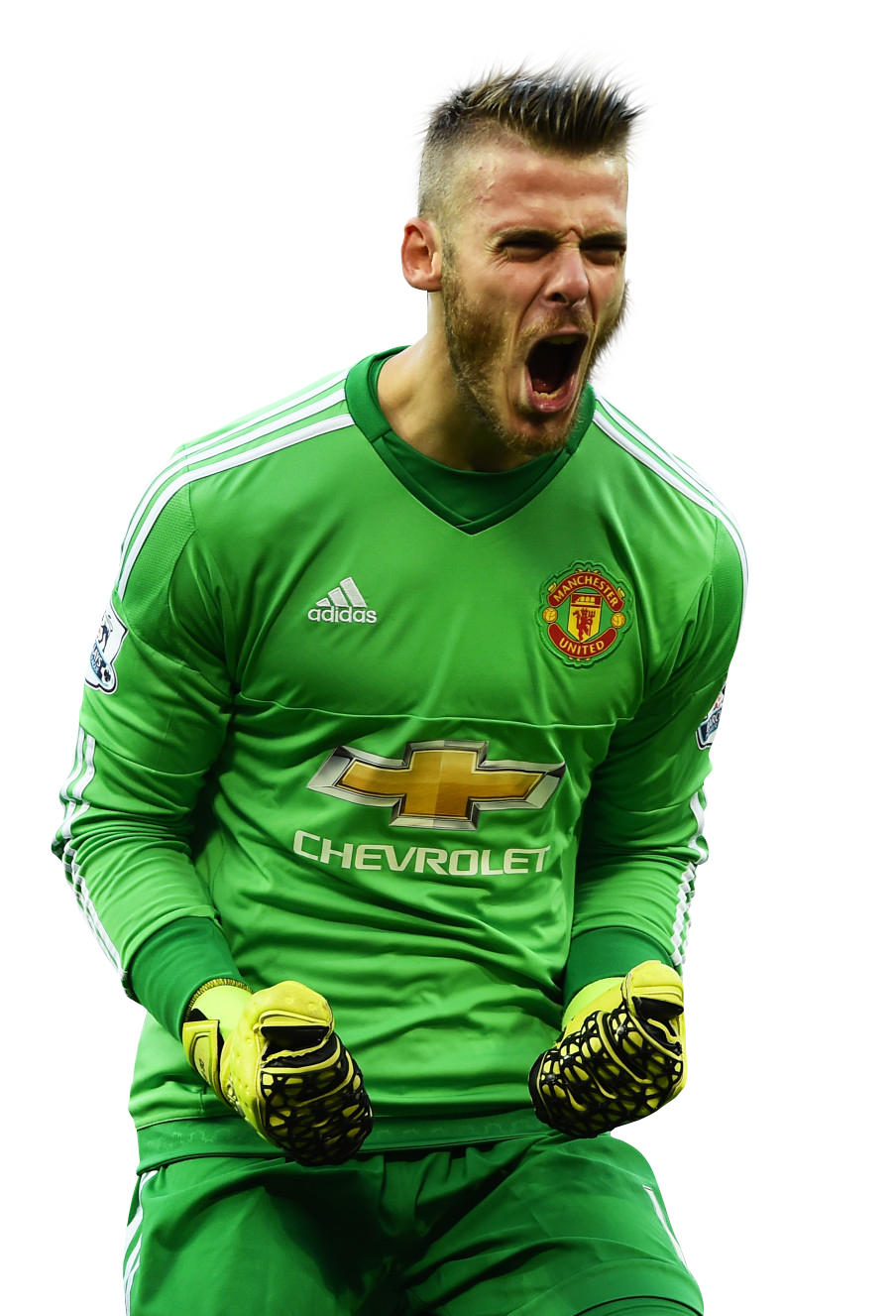 David de Gea football render - 16529 - FootyRenders