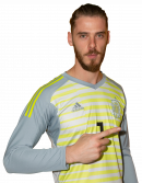 David de Gea football render