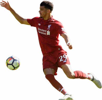 Dominic Solanke