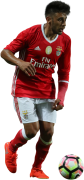 Eduardo Salvio football render