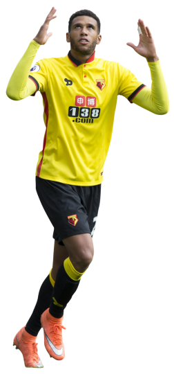 Etienne Capoue