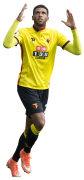 Etienne Capoue football render