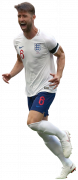 Gary Cahill football render