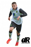 Gary Hooper football render