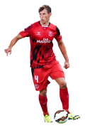 Grzegorz Krychowiak football render