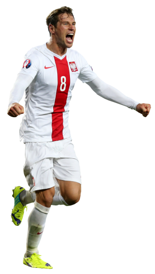 Grzegorz Krychowiak