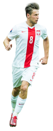 Grzegorz Krychowiak