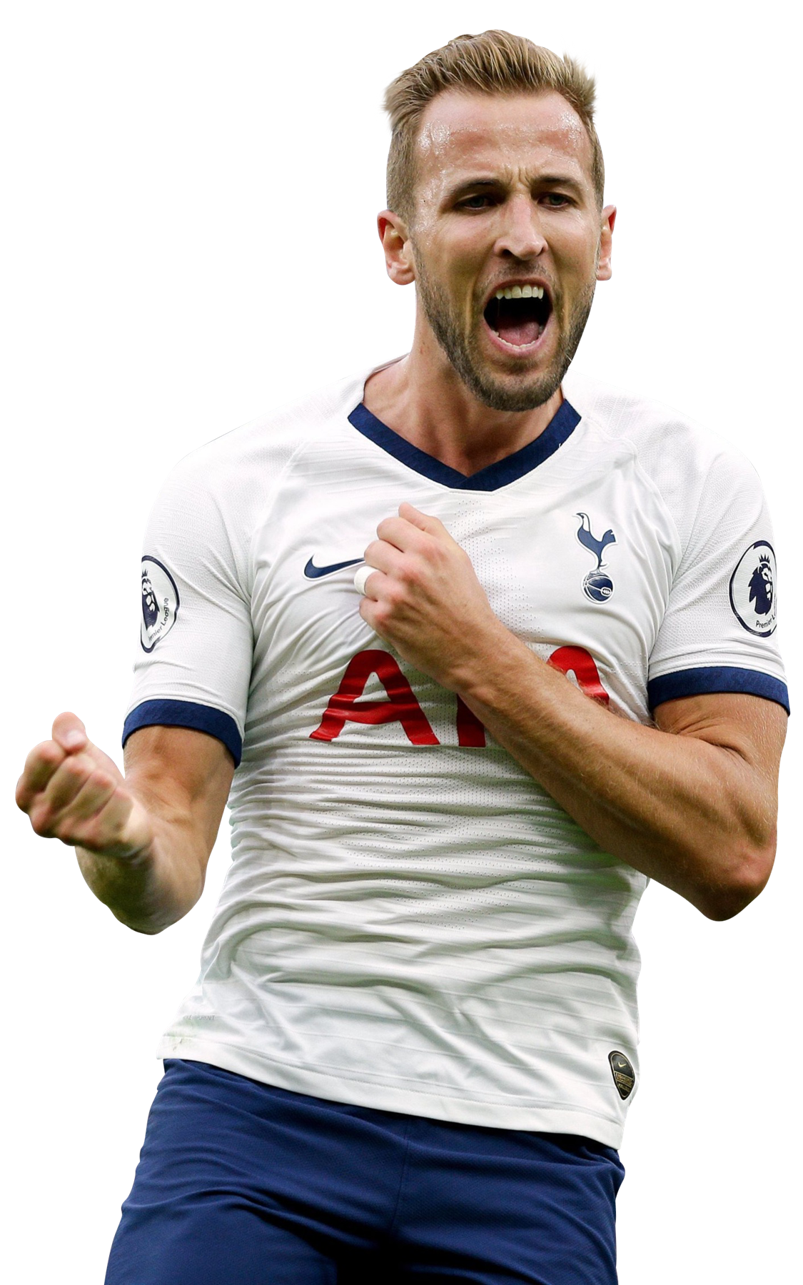 Harry Kane PNG