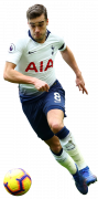 Harry Winks football render