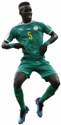 Idrissa Gueye football render