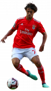 Joao Felix football render