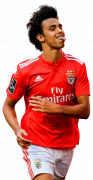 Joao Felix football render