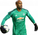 Lee Grant football render