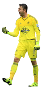 Lukasz Fabianski football render