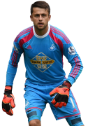 Lukasz Fabianski football render