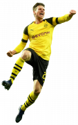 Lukasz Piszczek football render