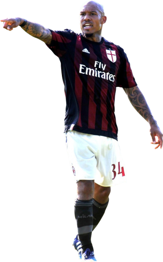 Nigel De Jong