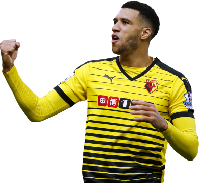 Etienne Capoue