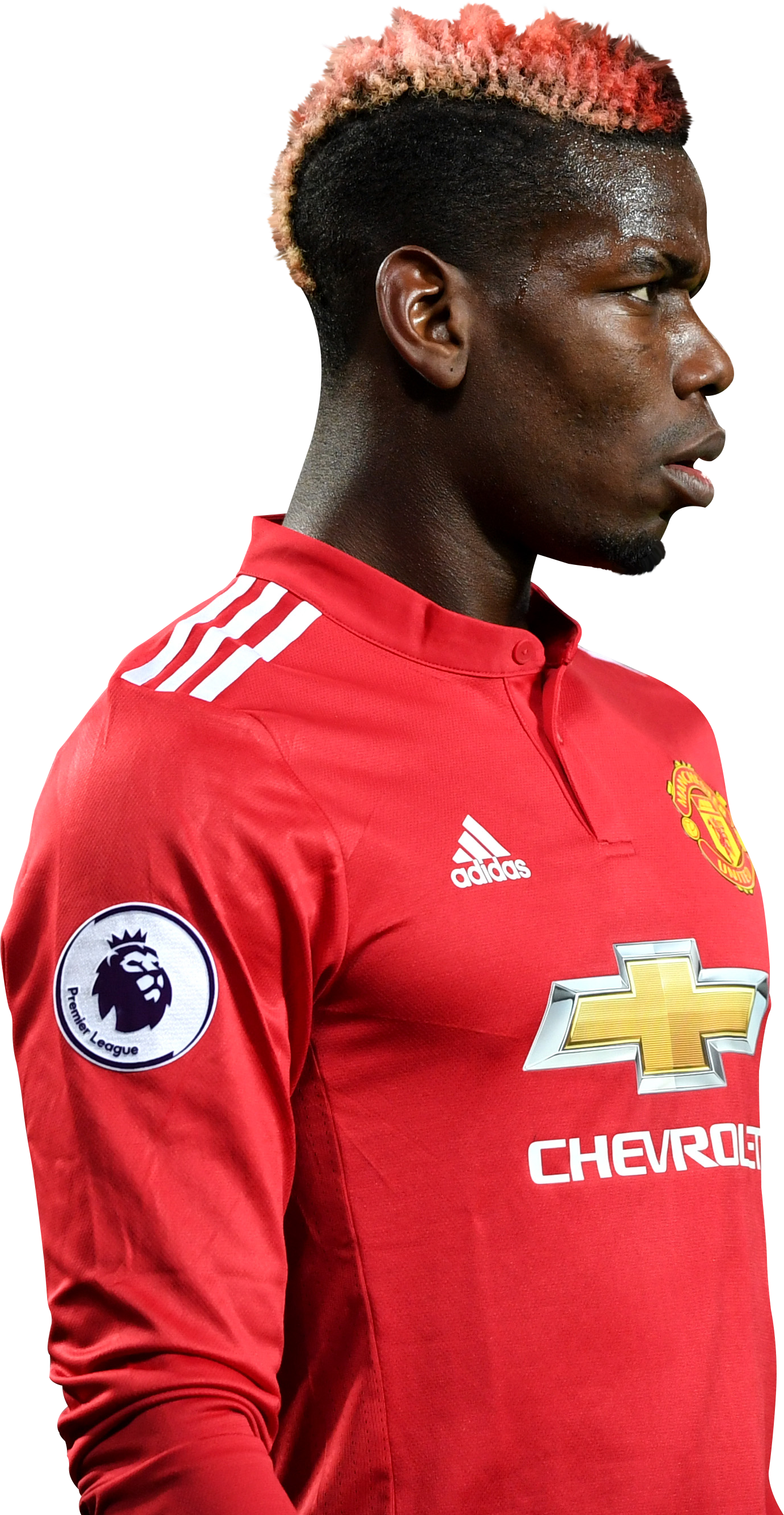 Paul Pogba football render - 42310 - FootyRenders