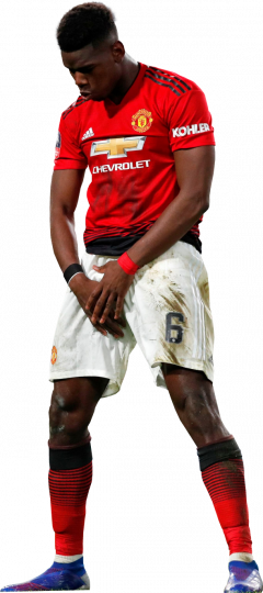 Paul Pogba