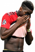 Paul Pogba football render