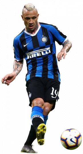 Radja Nainggolan