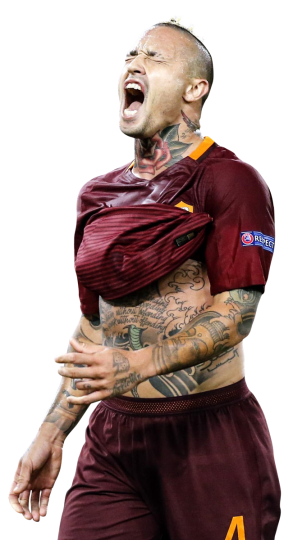 Radja Nainggolan