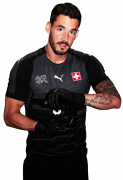 Roman Bürki football render