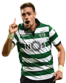 Sebastian Coates football render