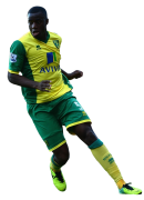 Sebastien Bassong football render