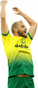 Teemu Pukki football render