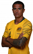 Tim Cahill football render