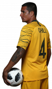 Tim Cahill football render