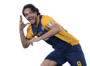 Luca Toni football render