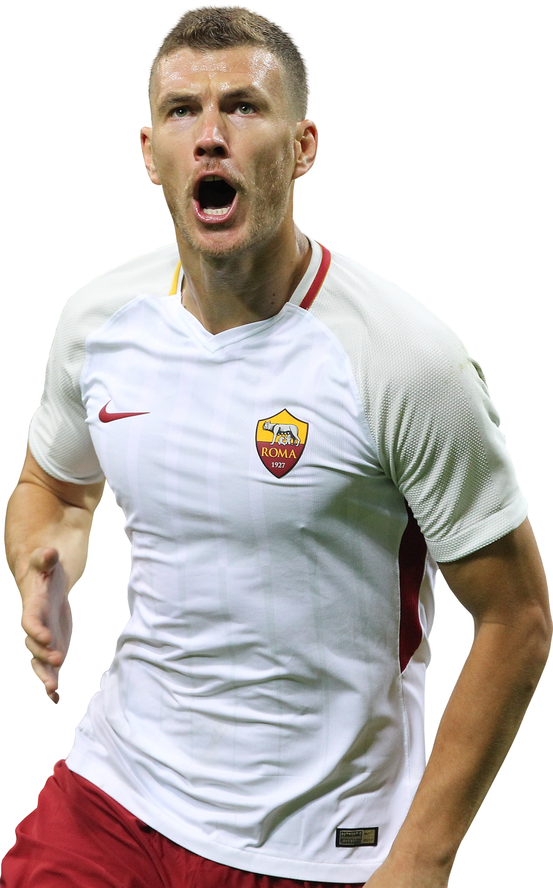 Edin džeko