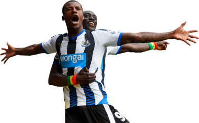 Georginio Wijnaldum & Papiss Cisse