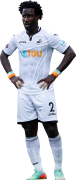 Wilfried Bony football render