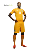 Yaya Toure football render