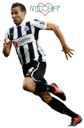 Yohan Cabaye