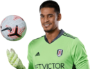 Alphonse Areola football render