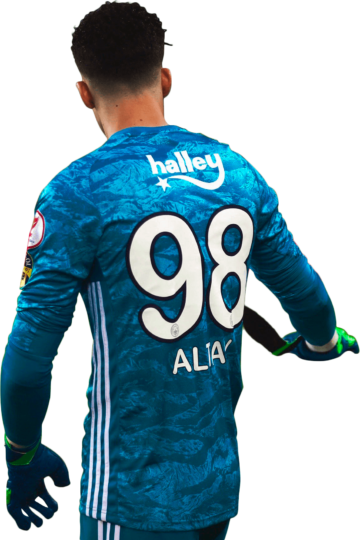 Altay Bayindir