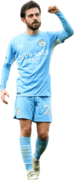 Bernardo Silva football render