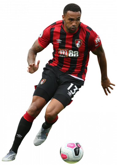 Callum Wilson