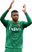 Étienne Capoue football render